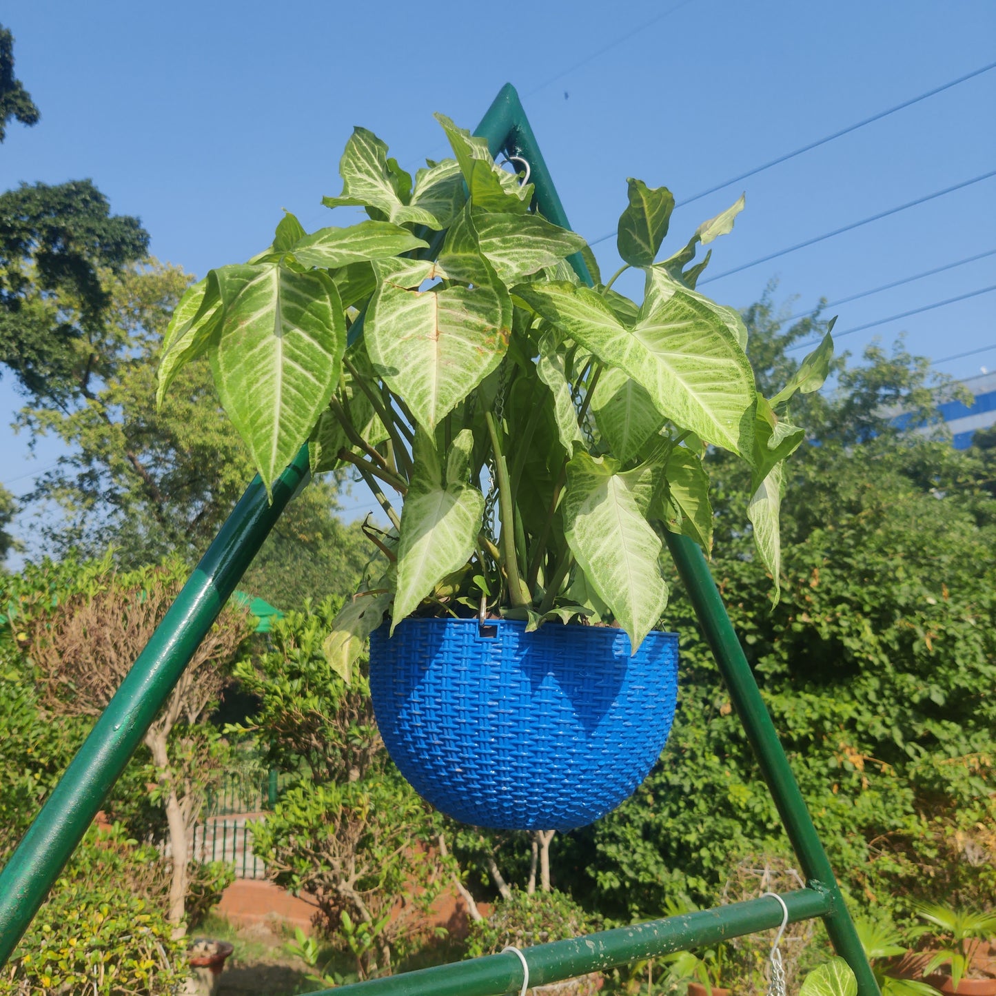 Big hanging pots