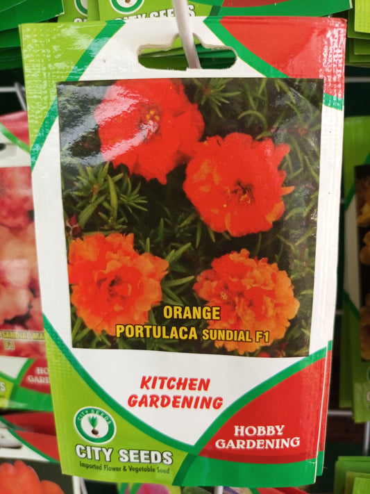 Portulaca sandial orange