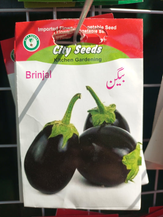 Brinjal