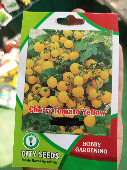 Cherry tomato yellow