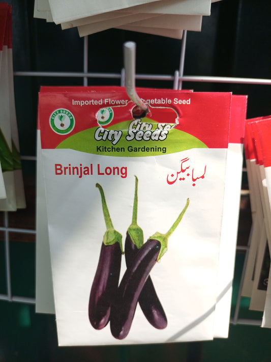 Brinjal long